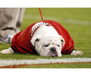 Uga the Ninth