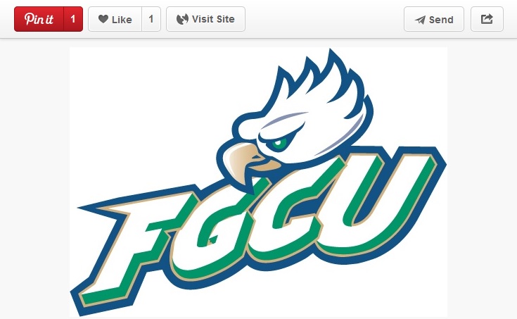 FGCU Pinterest