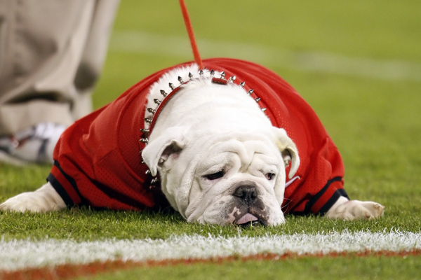 Georgia College Football Uga