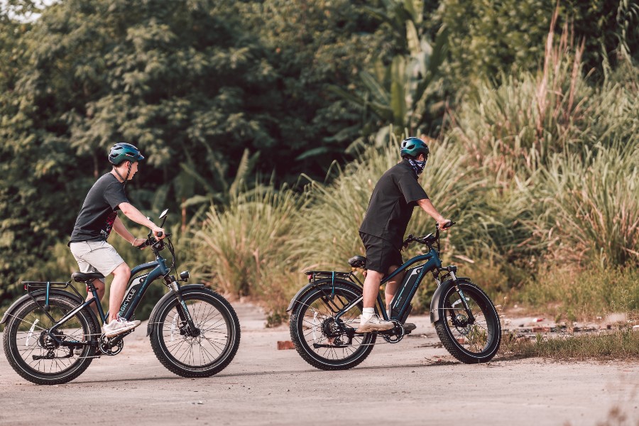 ebike ebike