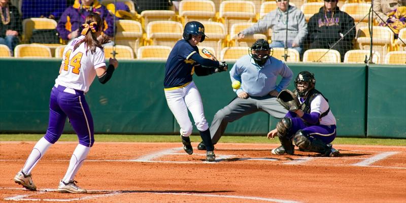 Michigan College Softball