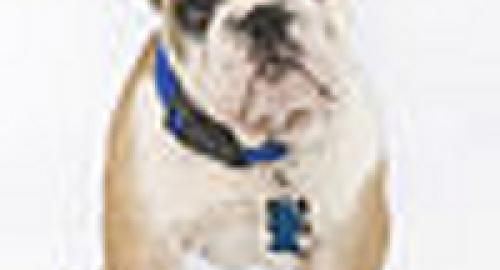 Louisiana Tech Mascot TechXX