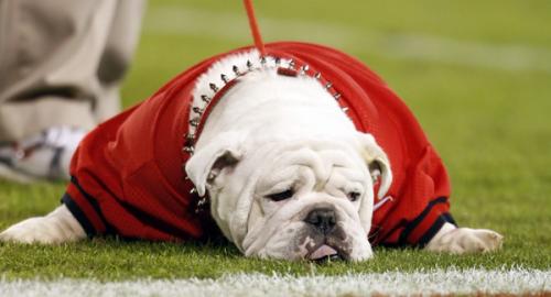 Georgia College Football Uga