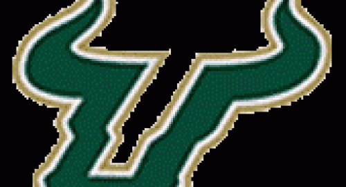 South Florida Logo