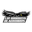 LIU Brooklyn