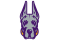 #16 Albany FCS Football 2024 Preview