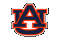 #9 Auburn Men's Basketball 2024-2025 Preview
