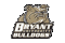 Bryant logo