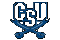 Charleston Southern logo