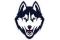 #1 Connecticut Men's Basketball 2024-2025 Preview
