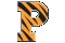#29 Princeton FCS Football 2021 Preview