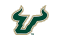 #31 South Florida Women's Basketball 2022-2023 Preview