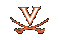 #25 Virginia Baseball 2021 Preview