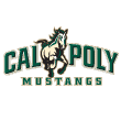 #36 Cal Poly Baseball 2014 Preview