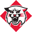 Davidson Men's College Basketball 2012-2013 Team Preview