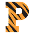 Princeton Top 25 Logo
