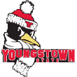Youngstown State Logo