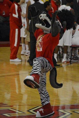 Stony Brook Mascot Wolfie