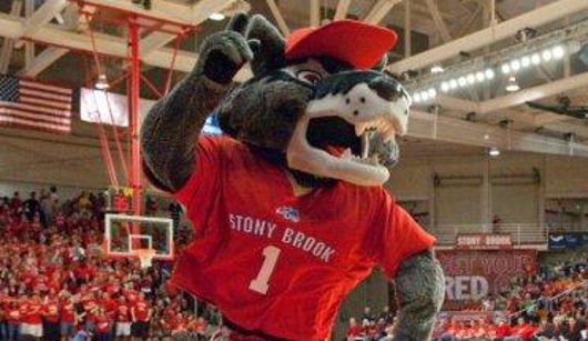 Stony Brook Mascot Wolfie